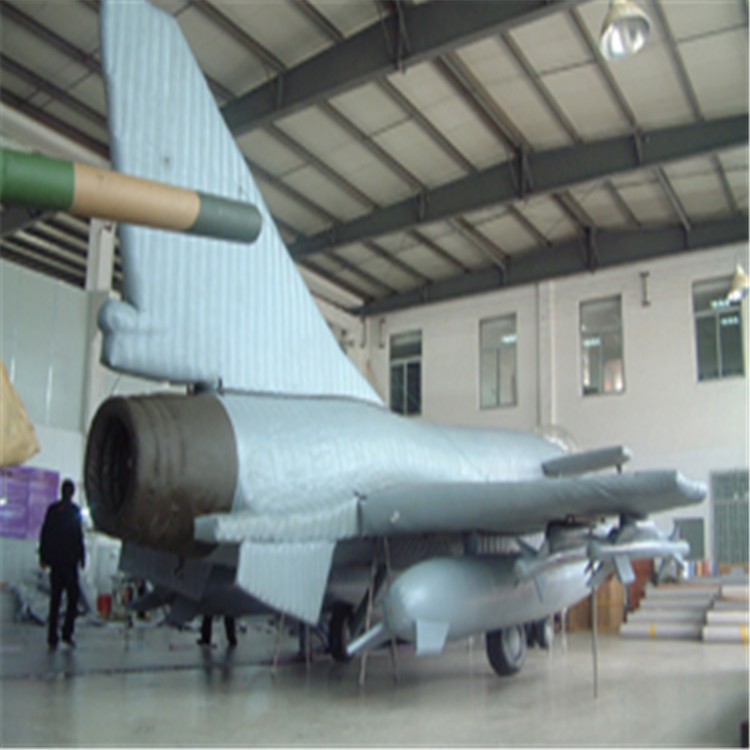 洋浦经济开发区飞机军用模型目标