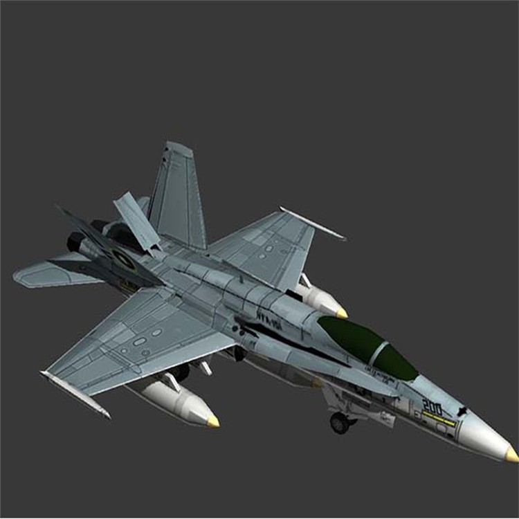 洋浦经济开发区3D舰载战斗机模型